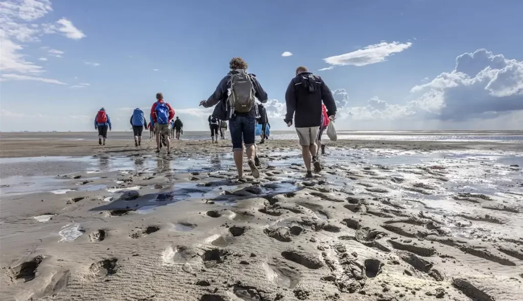 جزایر وادن (Wadden Islands)؛ طبیعتی بکر